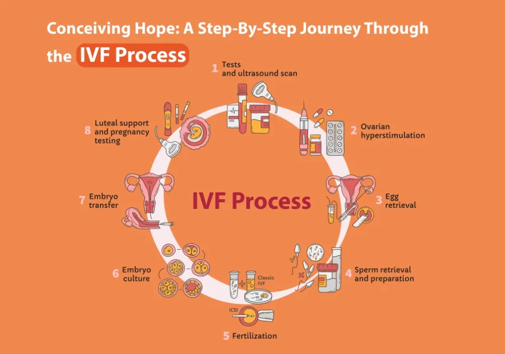 Your Complete IVF Journey with Seeds of Innocens